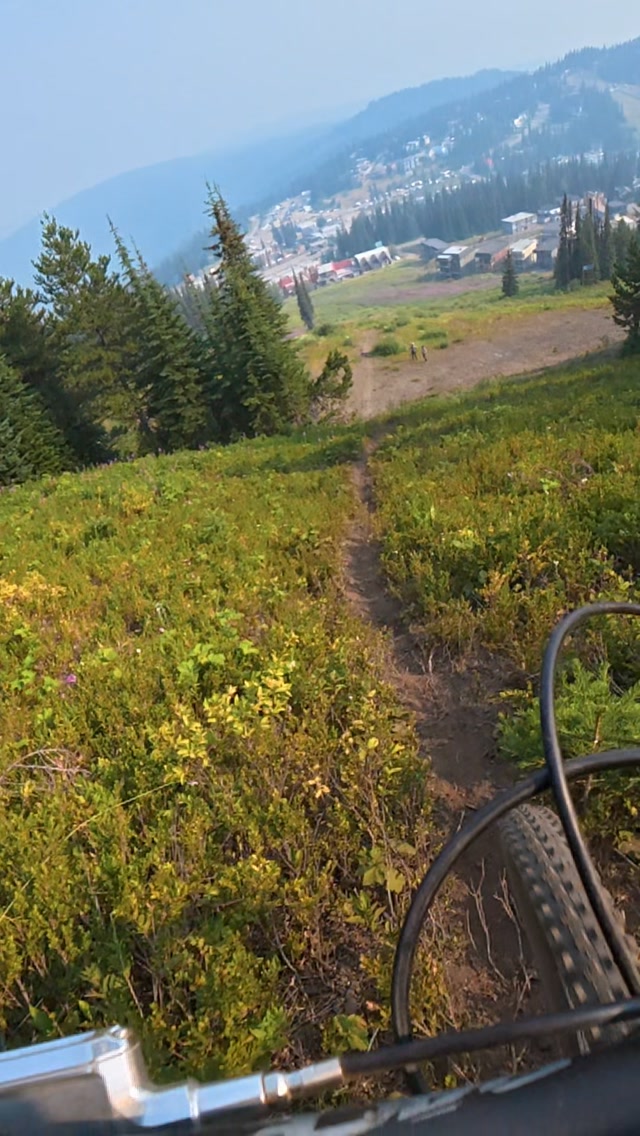Chill day of the trails exploring Silver Star with @the_sherman8r, Winston & Rylan.  Thanks for having me along on your adventures.